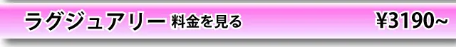 ラグジュアリー料金表はこちら